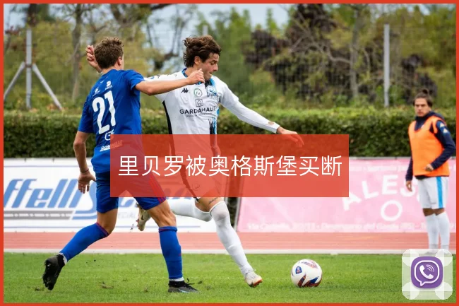 里贝罗被奥格斯堡买断